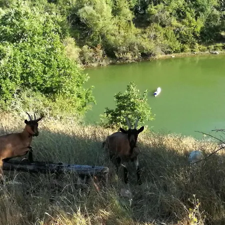 Podere Tegline בית חווה *