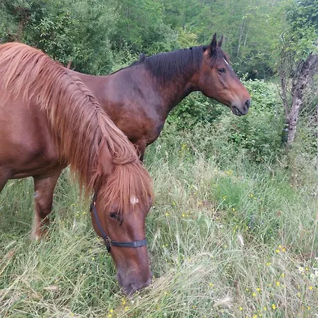 Podere Tegline ראדה אין קיאנטי