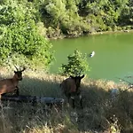 Podere Tegline Alloggio per agriturismo *
