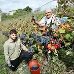 Podere Tegline