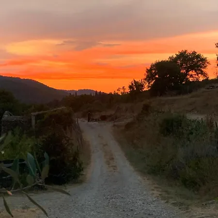 Feriegård Podere Tegline Radda in Chianti