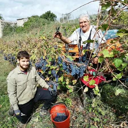 Podere Tegline