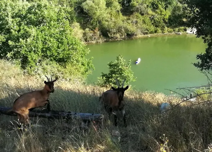 Podere Tegline Lantgård *