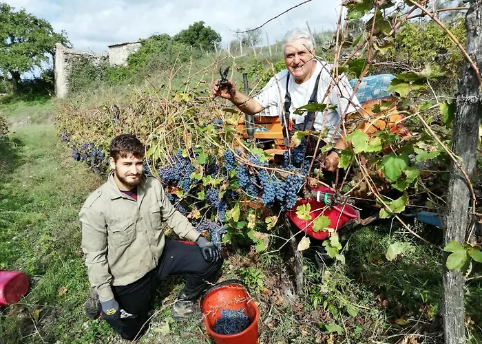 Podere Tegline